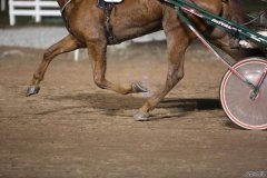 <b>在线赛马投注者在输了杏耀下载app一天之后就不</b>