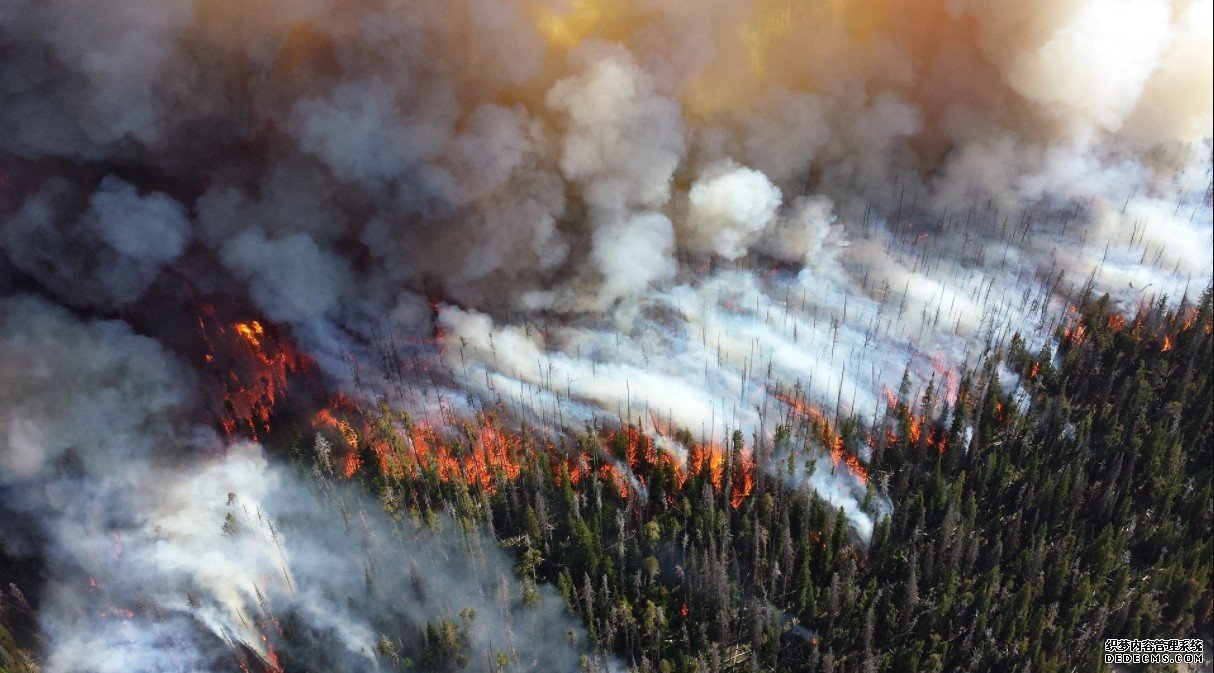 杏耀的信誉一个国际小组追踪澳大利亚野火产生的创纪录烟雾