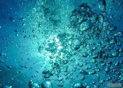 <b>二维气泡群中复杂流杏耀历史动的特征</b>