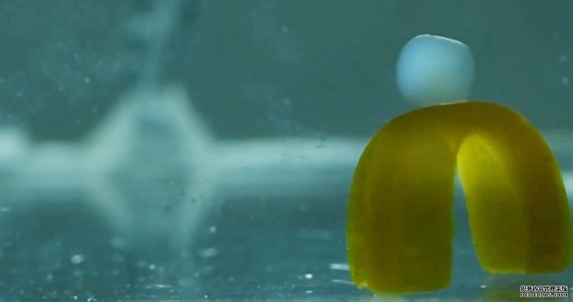 水生机器人杏耀招代理的灵感来自海洋生物，行走，滚动，运输货物