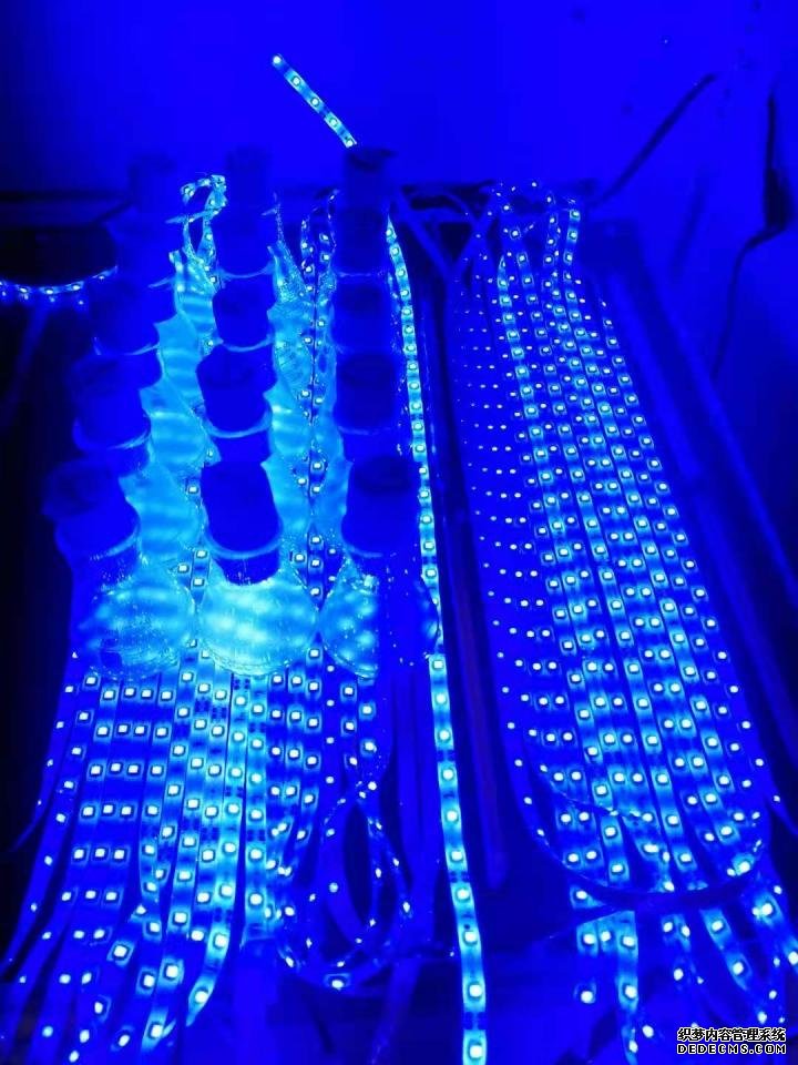 新发现为高滴度生产滴杏耀入式生物燃料开辟了新途径