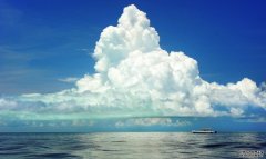 <b>沿海生态系杏耀登录地址统的“亮点”</b>
