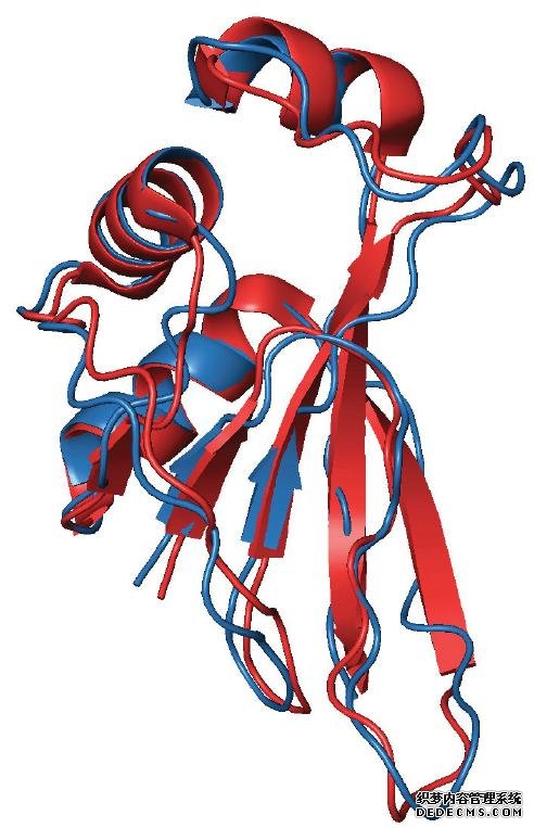 科学家模拟古生病杏耀注册毒的蛋白质行为来破解蛋白质折叠之谜