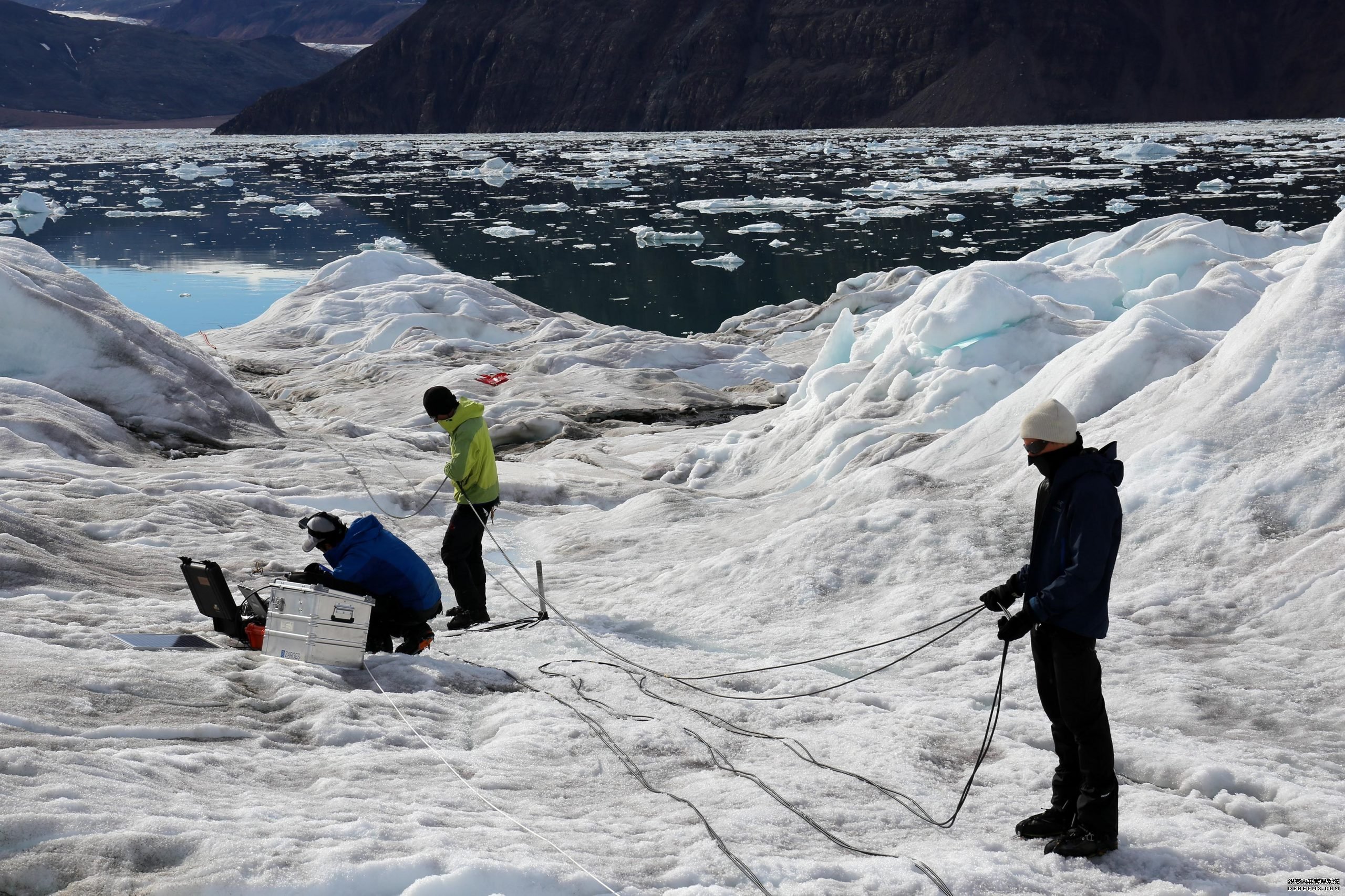 揭示了在格陵兰冰川杏耀YL崩解前沿的湍流羽流的复杂行为