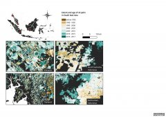 <b>杏耀开代理找谁新的油棕地图，以告知政策和景</b>
