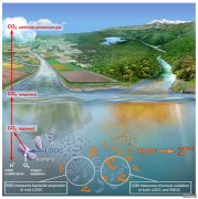 <b>可靠地测量河流或湖杏耀的信誉泊是否耗尽空气</b>