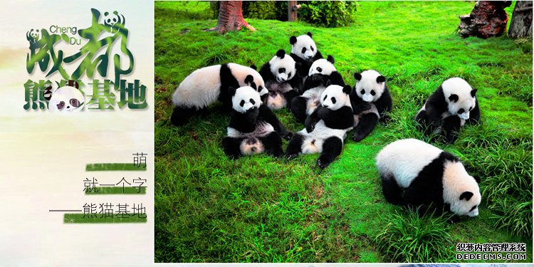 我国首个大杏耀熊猫碳汇专项基金成立