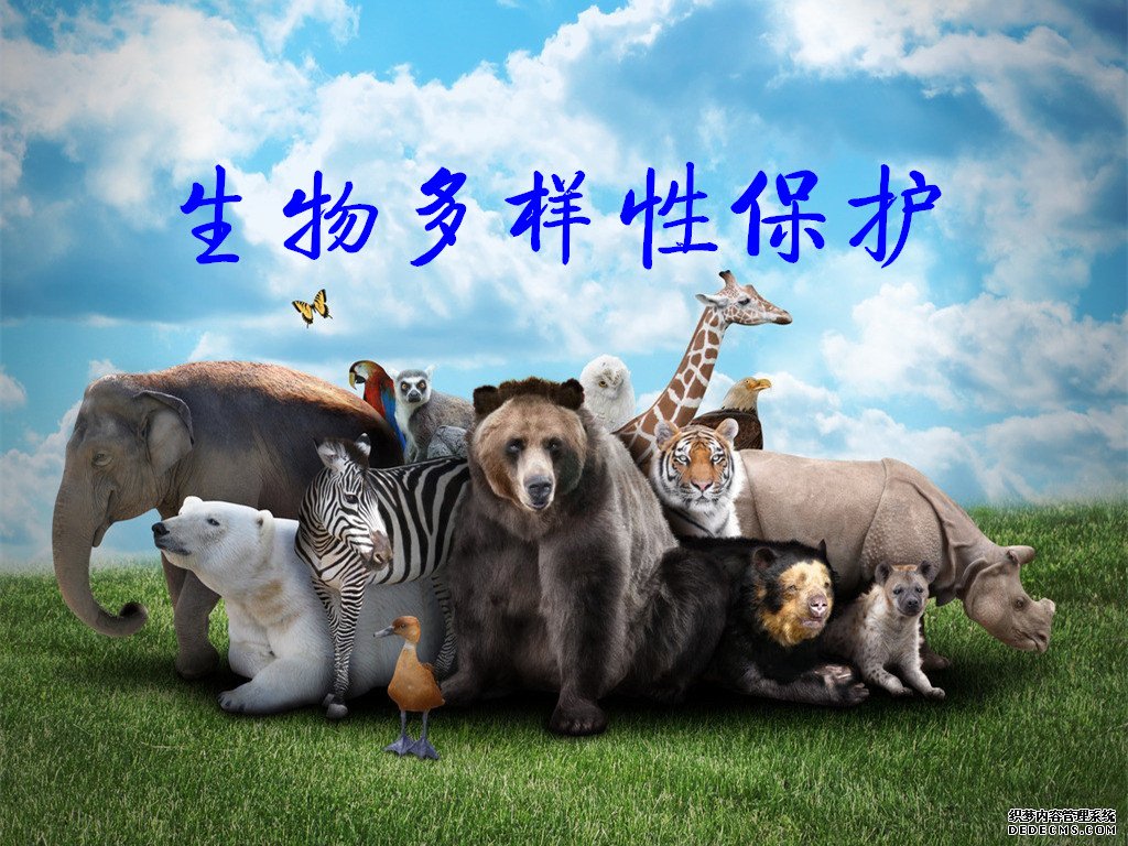 杏耀平台何悦:建议制定“生物多样性保护法”