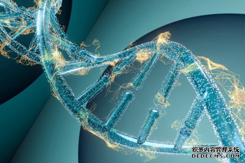杏耀平台DNA测序:一个都不能少