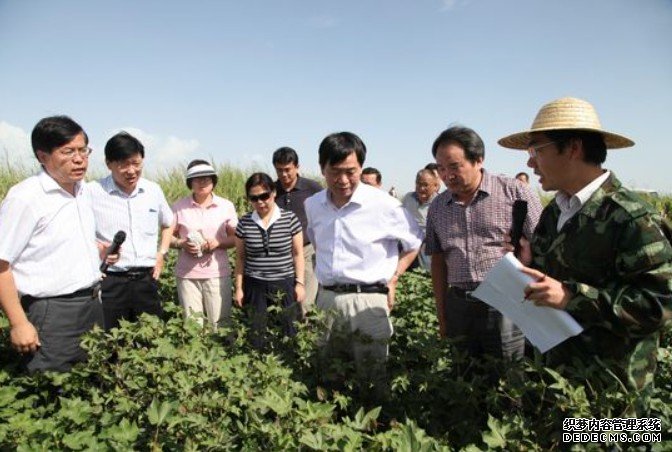 杏耀平台中国农科院油料所多项成果入选农业部主推品种技术
