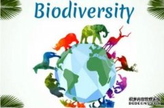 <b>杏耀手机客户端37国代表探讨亚洲生物多样性保护</b>