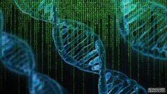 <b>Illumina CEO认杏耀手机客户端为全基因组检测成本</b>