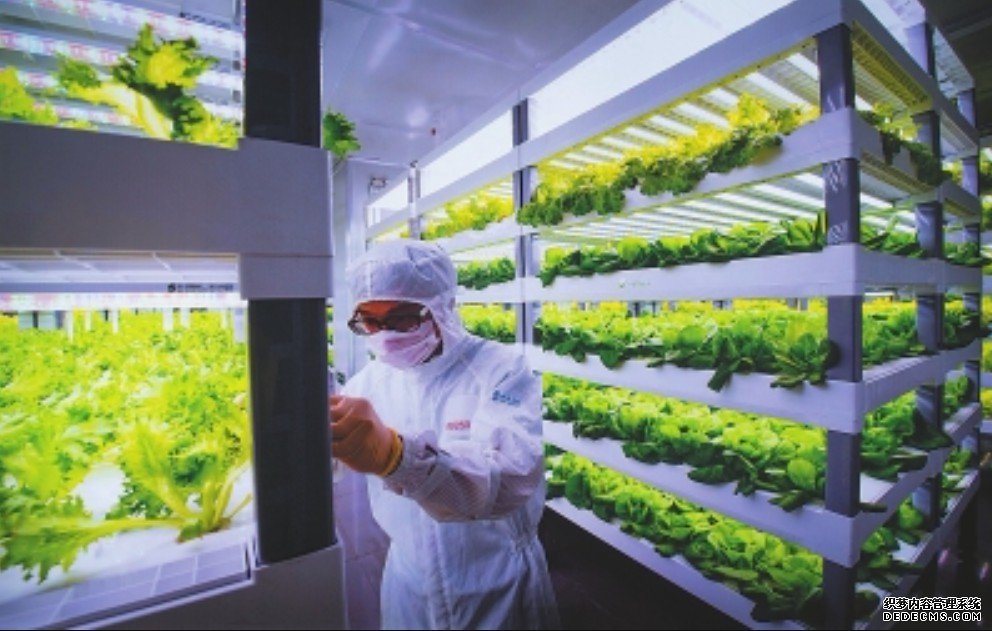 杏耀代理中科生物植物工厂:探索农业生产新模式