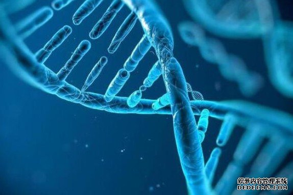 杏耀外企在华申请“基因魔剪”专利会动谁的奶酪?