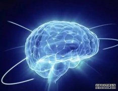 <b>中国科学家揭示“杏耀代理胜利者效应”脑机制</b>