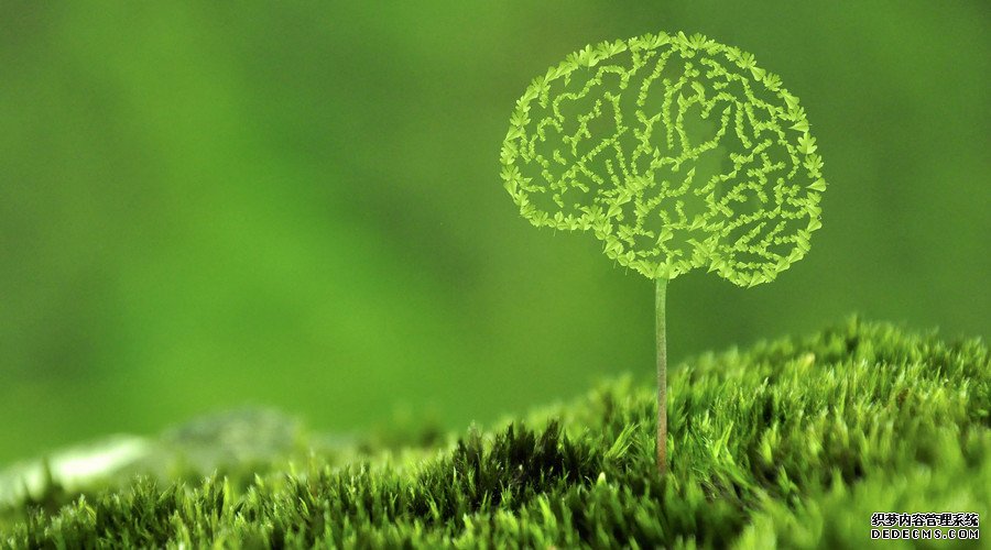 杏耀平台大数据将植物学研究带入新境界