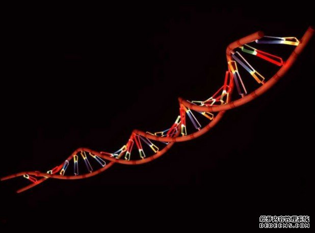 杏耀代理美科学家首次编辑人类胚胎基因