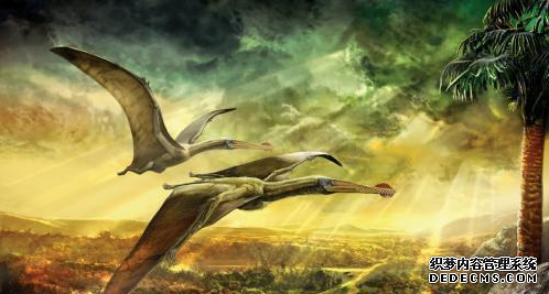 新研究认为翼龙和鸟类杏耀平台“和平共存”数百万年