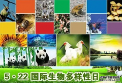 <b>专访：杏耀平台生物多样性支撑人类赖以生存的</b>