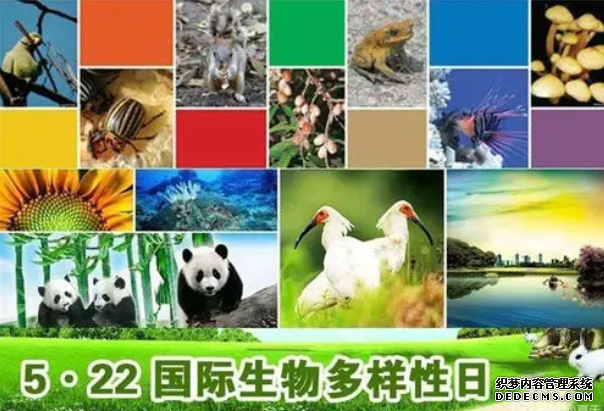 专访:杏耀平台生物多样性支撑人类赖以生存的自然系统——访澳国家昆虫收藏馆主管戴维·耶茨