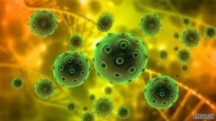 <b>北大等发现功能成熟细胞在体外长期维持的新方</b>