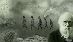 <b>中国学者在皖发现杏耀平台30万年前古人类化石</b>