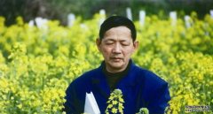 <b>杏耀注册育种专家傅廷栋：油菜院士的六件套</b>