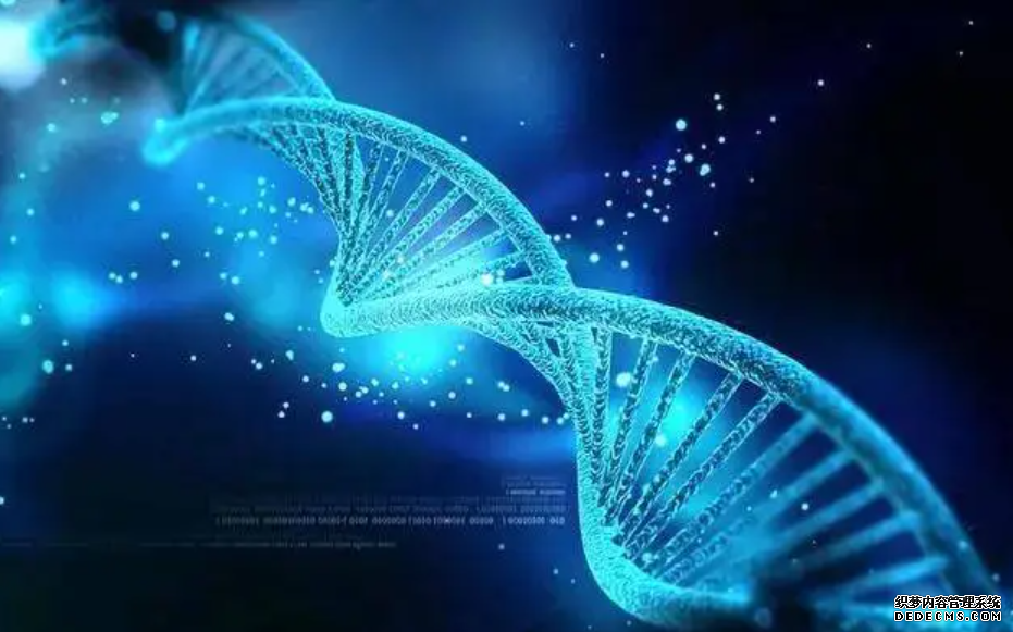 杏耀代理研究发现抑制动物午睡的基因