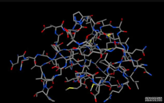 <b>科学家摸清杏耀平台抗冻蛋白分子结构</b>