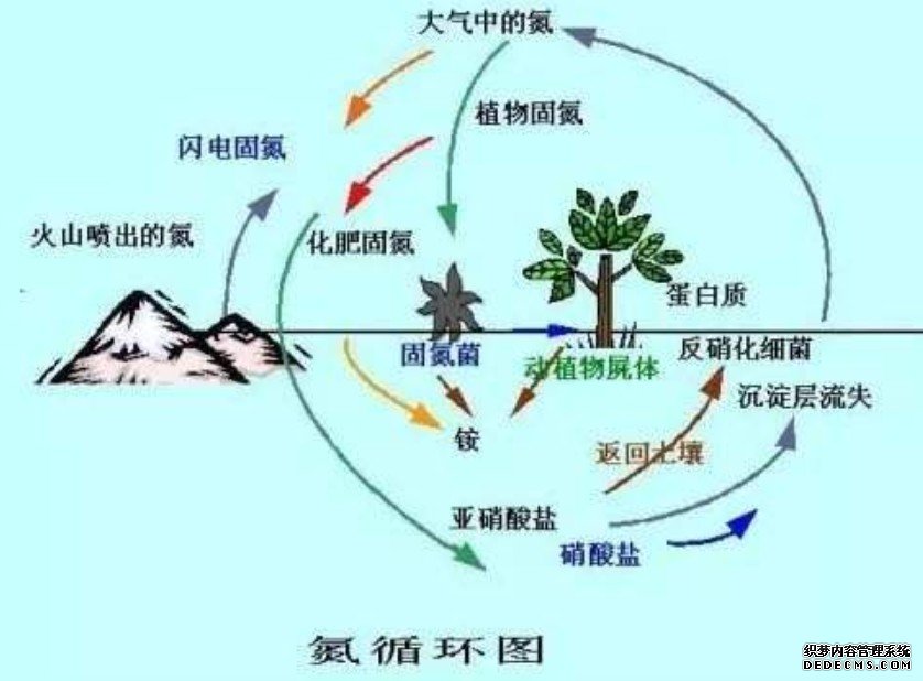 杏耀注册研究揭示生物固氮对养分输入的响应格局和机制