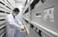<b>我国唯一寒地作物种质资源库杏耀代理保存容量</b>