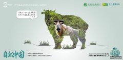 <b>杏耀多样生物，我们共同守护（美丽中国·关注生</b>
