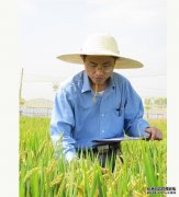 <b>啃下抗热“硬骨头” 粮食产量不用愁杏耀注册</b>