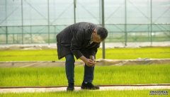 <b>刘政安研究员杏耀平台：把成果写在大地上</b>
