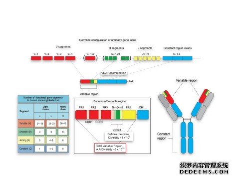 测序新技术提供基因表达高精数据杏耀平台