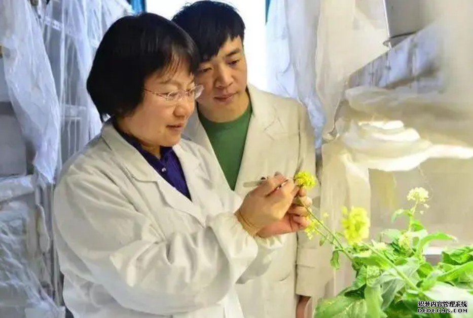 杏耀中国科研团队主办植物科学研究类期刊跃居全球第一