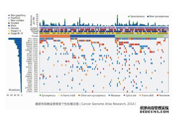 我科学家成功获取奥氏马全基因组数据