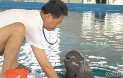 <b>F9C22！长江江豚生宝宝啦杏耀平台！</b>