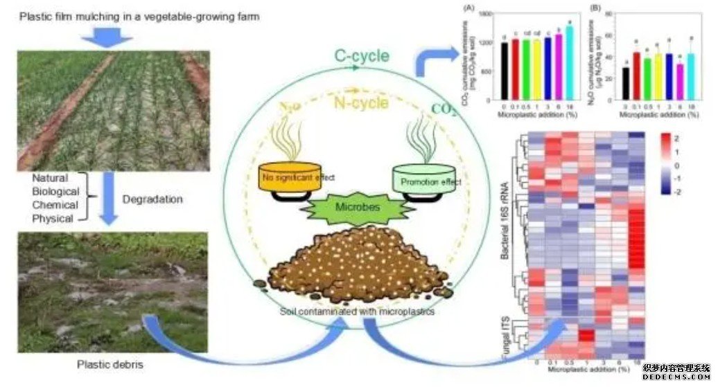 新方法实现跨物种微生物群落可控组装杏耀代理