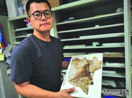 王敏:义务与责任加速职业步伐杏耀代理