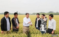 <b>育种博士：在田间地头杏耀注册也能实现自己的</b>