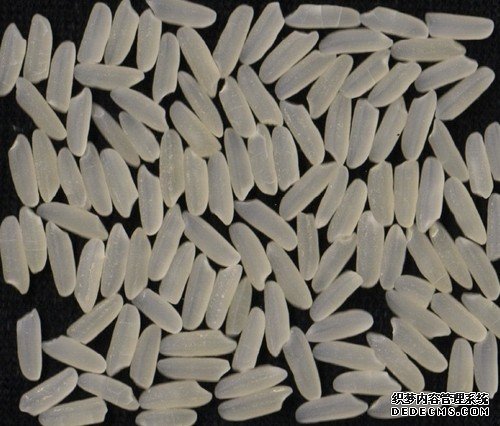 中科院耐盐水稻“盐黄香粳”亩产达500公斤杏耀代理