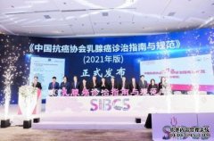 <b>中国专家新研究：最凶险乳腺杏耀代理癌或有新</b>