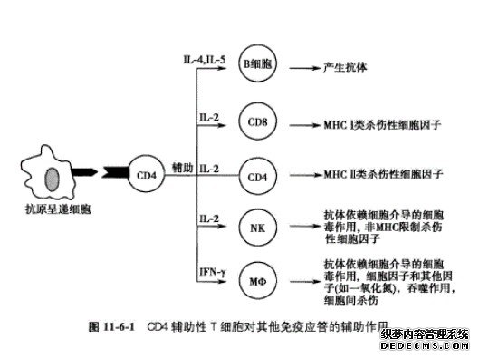 新研究:来自母体的杏耀平台细胞可调控子代免疫系统