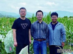 <b>科学家帮“饲料之王”接长短板杏耀平台</b>