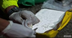 <b>我国科学家实现植杏耀注册物药可卡因的从头生</b>