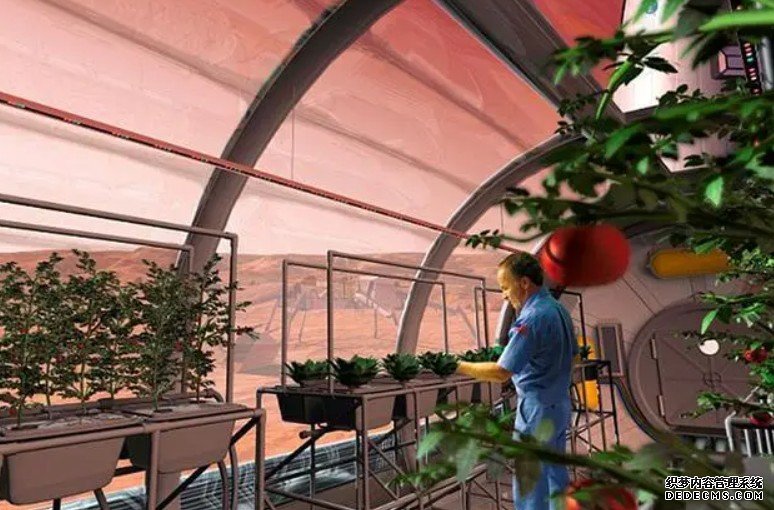 上月球种植物,太杏耀平台空花园离我们有多远?