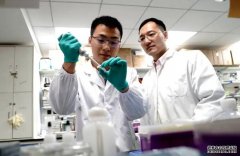<b>我国科学家建立新技杏耀手机客户端术揭示细胞</b>