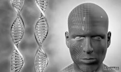 <b>我国科学家找到影响脸型的DNA杏耀注册</b>