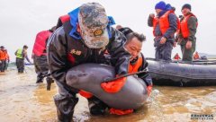 <b>鄱阳湖长江江豚第五次迁地保护开始实施杏耀代</b>